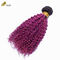 Afro Kinky rizado raíz oscura púrpura sombra virgen pelo humano paquetes para la venta