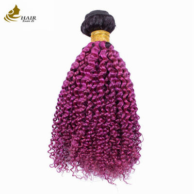 Afro Kinky rizado raíz oscura púrpura sombra virgen pelo humano paquetes para la venta